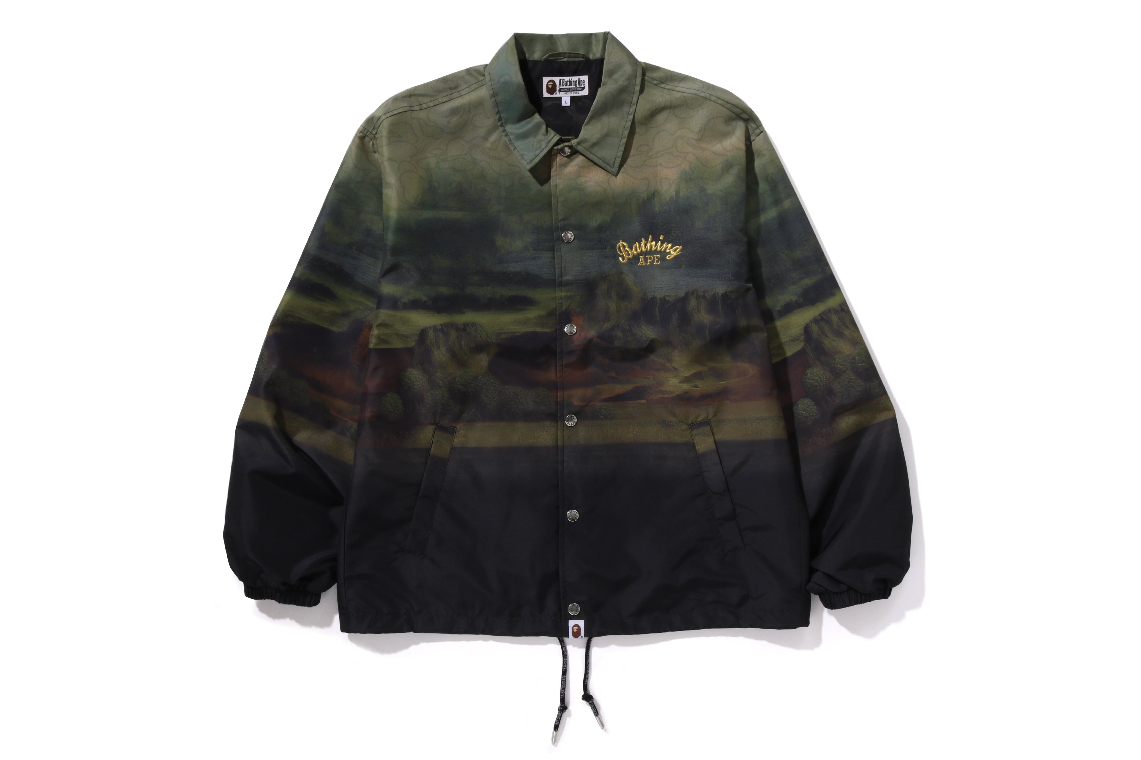 ART PRINT COACH JACKET MENS – eu.bape.com