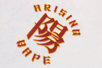 A RISING BAPE L/S TEE