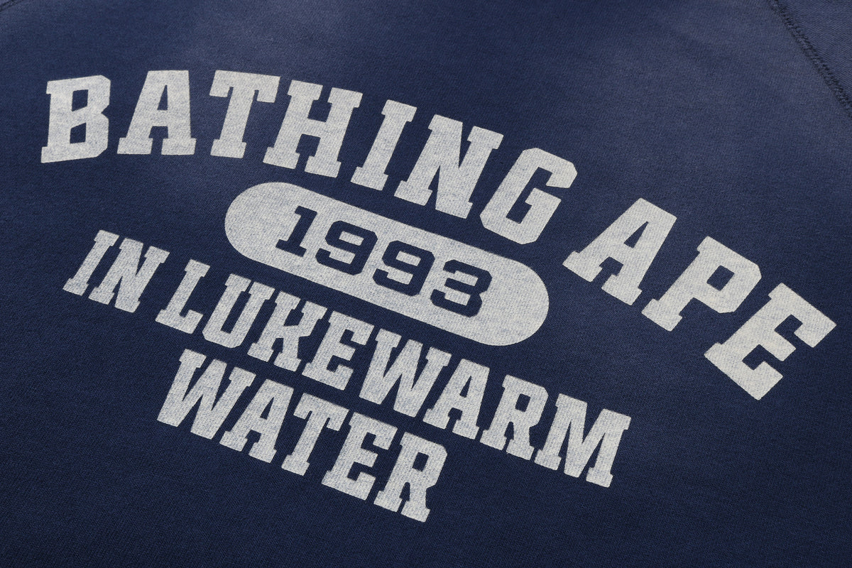 DESTROY WASHED EFFECT RELAXED FIT CREWNECK SWEATSHIRT