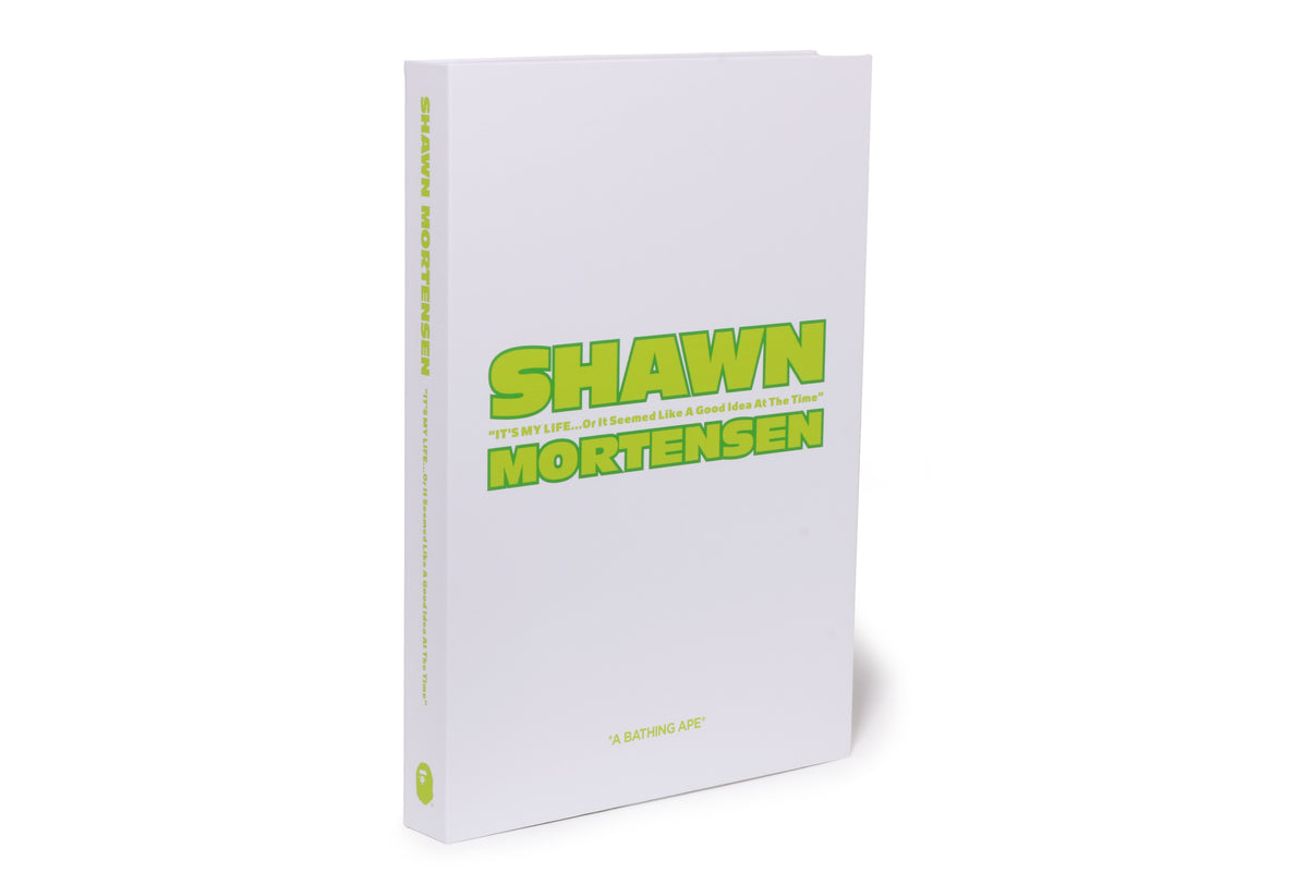 BAPE X SHAWN MORTENSEN BEASTIE BOYS TEE