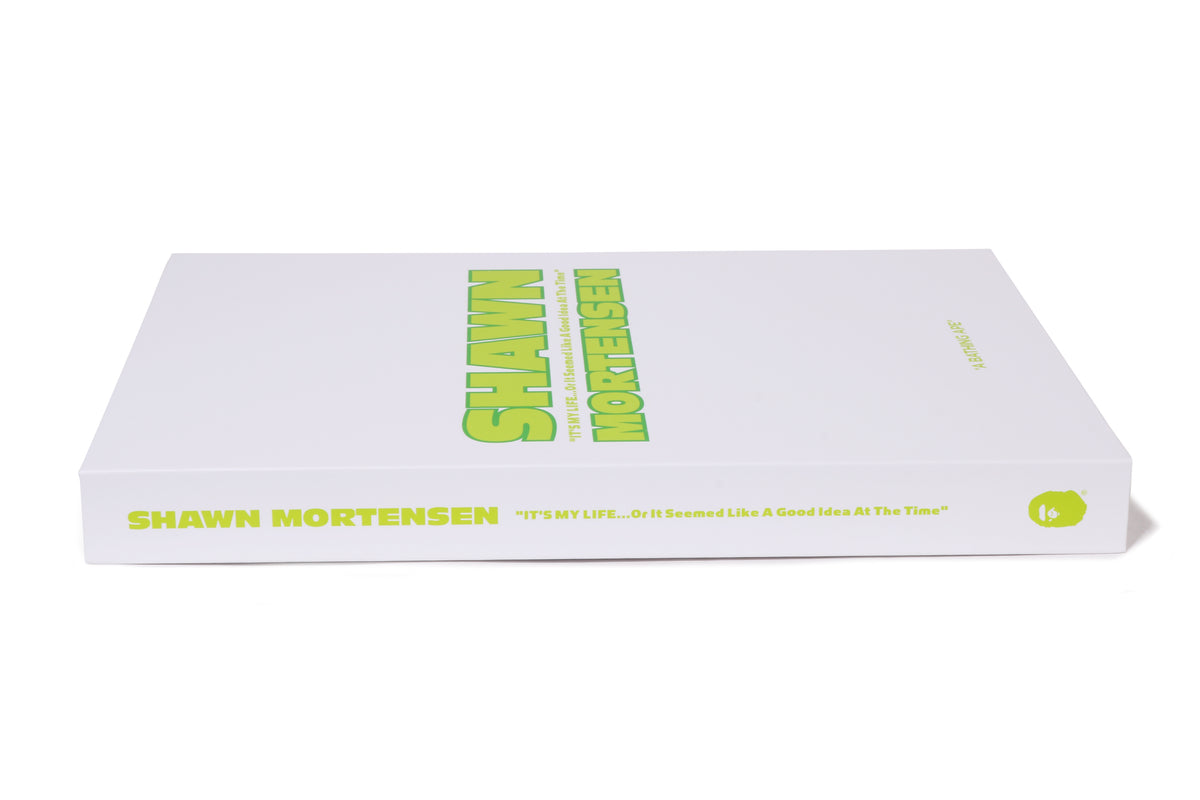 BAPE X SHAWN MORTENSEN BEASTIE BOYS TEE