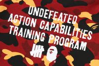 BAPE X UNDFTD FULL ZIP HOODIE
