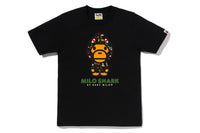 ABC CAMO MILO SHARK FZH TEE LADIES