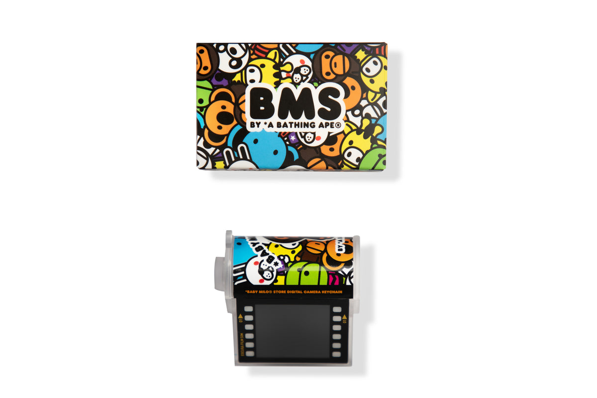 DIGITAL CAMERA KEYCHAIN