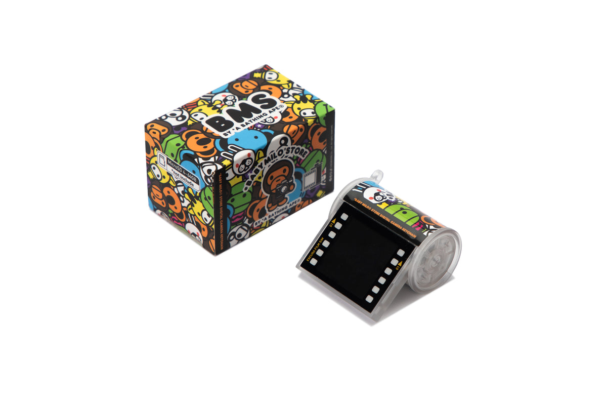 DIGITAL CAMERA KEYCHAIN