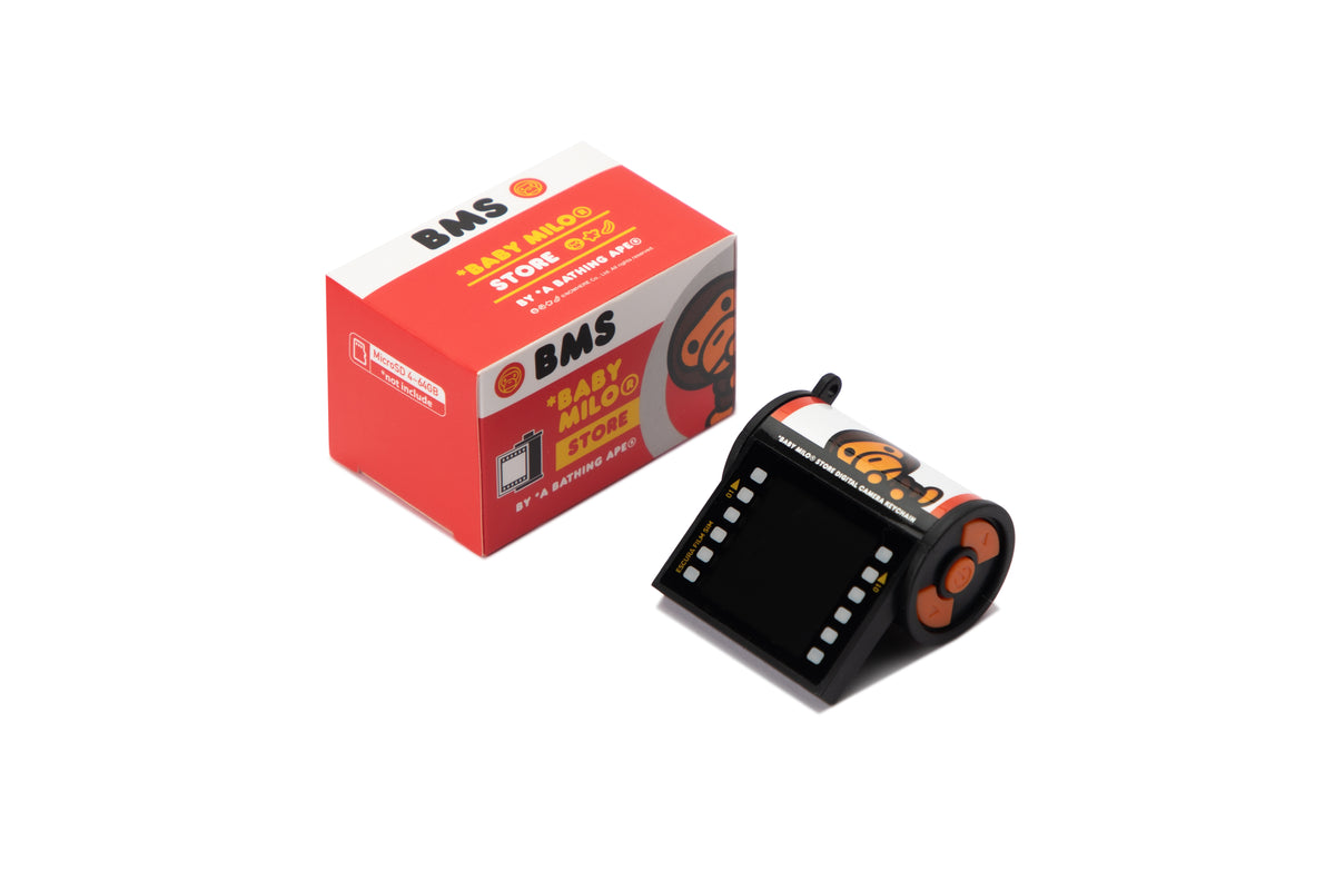 DIGITAL CAMERA KEYCHAIN